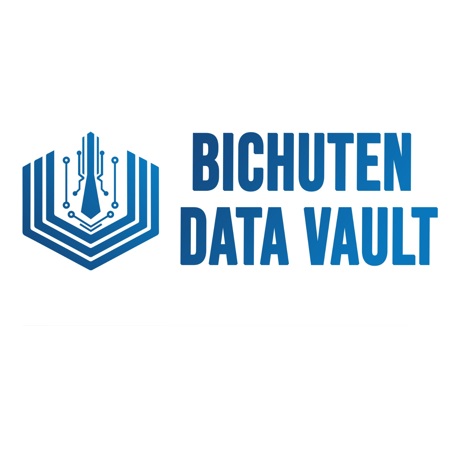 Bichuten Data Vault